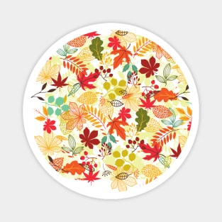 Fall Leaves Autumn Pattern Magnet